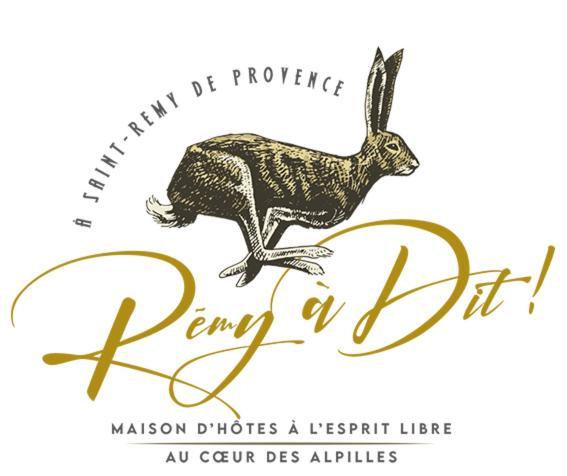Remy A Dit Saint-Rémy-de-Provence Zewnętrze zdjęcie