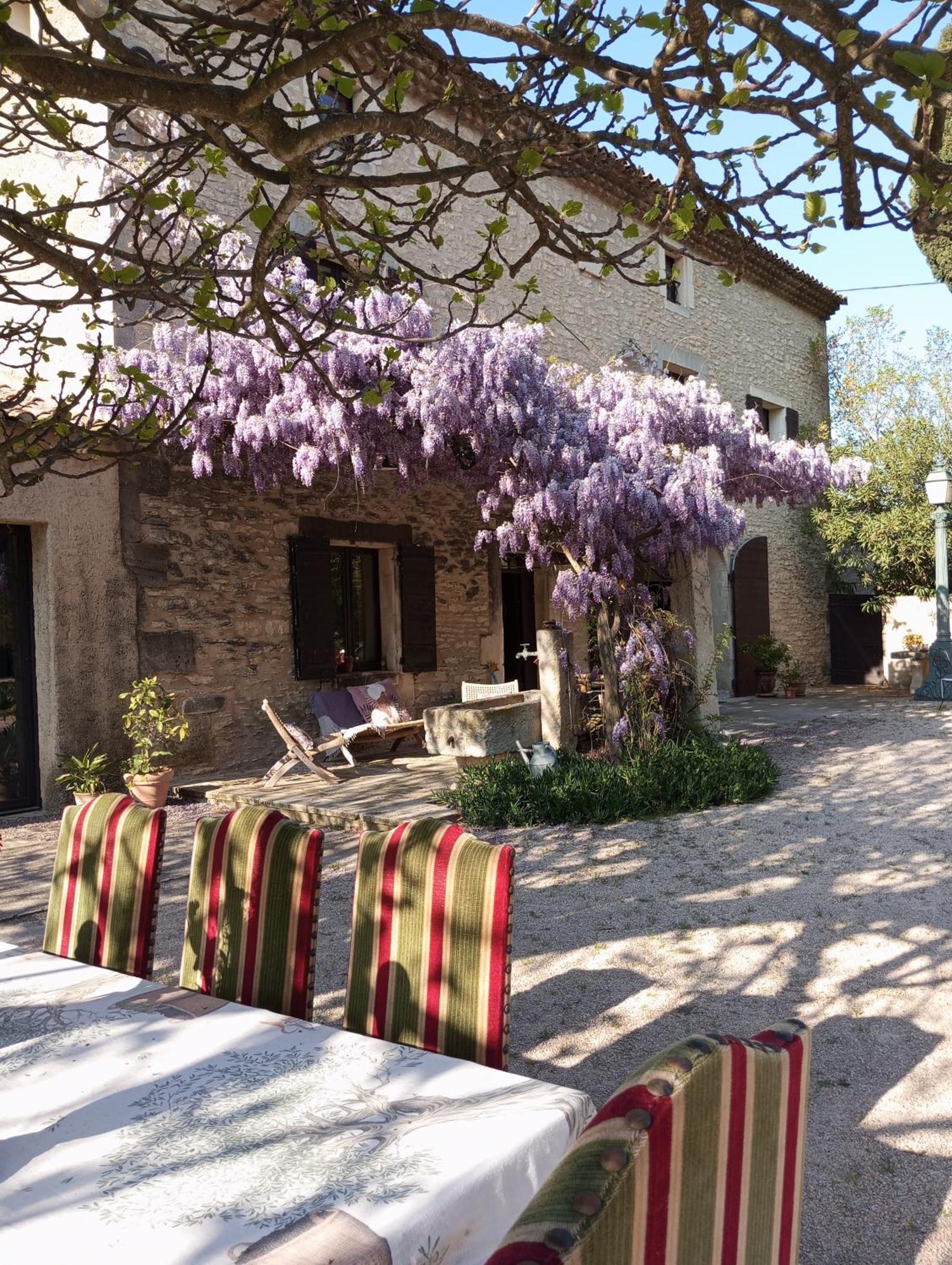 Remy A Dit Saint-Rémy-de-Provence Zewnętrze zdjęcie